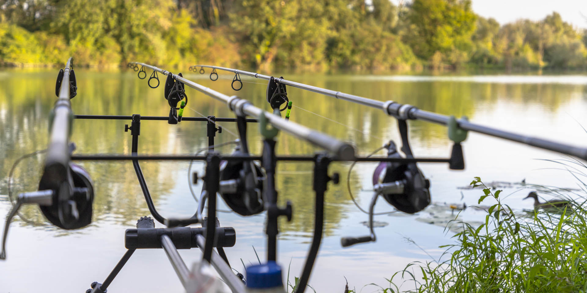 millingtons-fishing-website-design